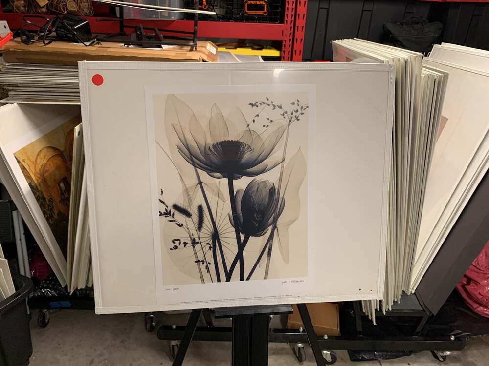 Judith K. McMillan Lotus and Grasses X-Ray Floral Art Print 2004